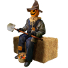 Haunted Hill Farm HHSTPUMP-1FLSA - 10